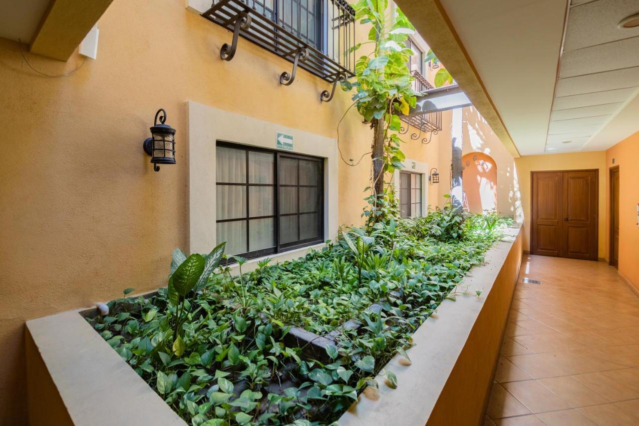 Hotel Colli San José del Cabo المظهر الخارجي الصورة