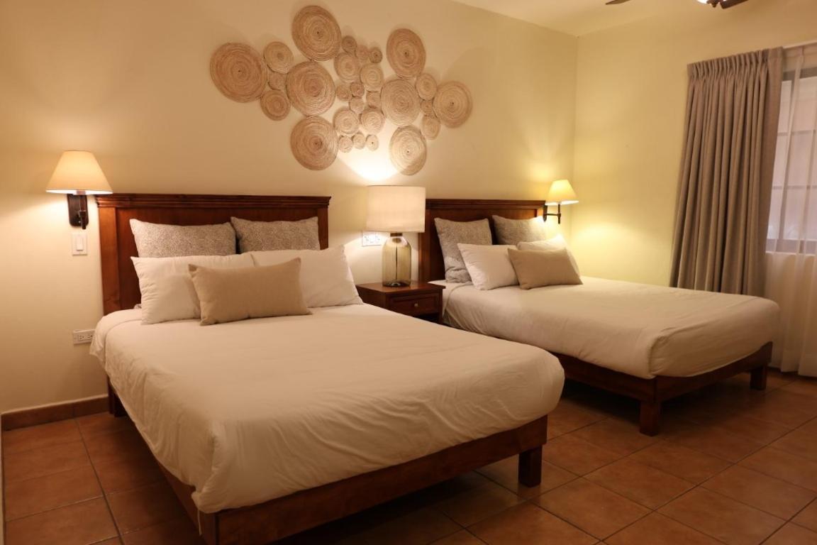 Hotel Colli San José del Cabo المظهر الخارجي الصورة
