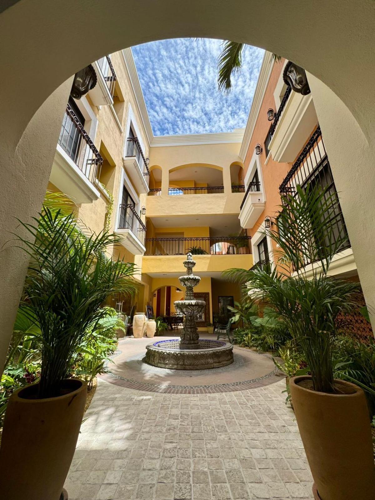 Hotel Colli San José del Cabo المظهر الخارجي الصورة